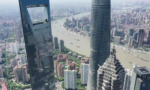 土洋参图片价值-土洋参的功能及作用是什么、土洋参实物图解 -土洋参的功能及作用网