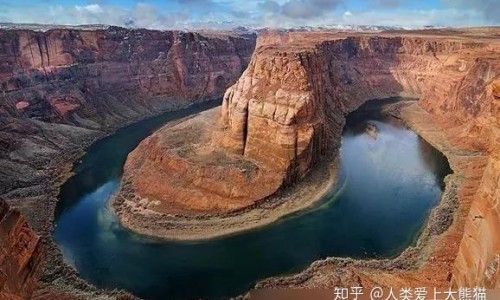 土洋参的正确吃法-土洋参的功能及作用是什么、土洋参实物图解 -土洋参的功能及作用网