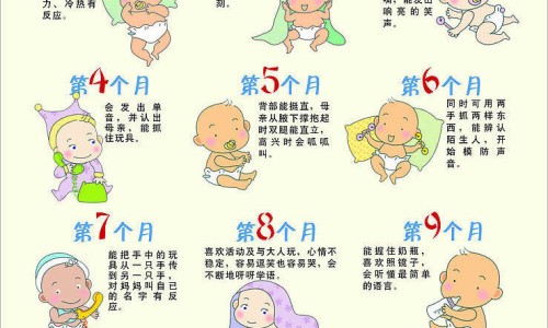 土洋参的正确吃法-土洋参的功能及作用是什么、土洋参实物图解 -土洋参的功能及作用网