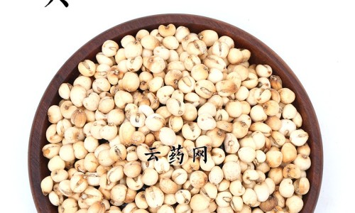 土洋参的功能及作用是什么、土洋参实物图解 -土洋参的功能及作用网