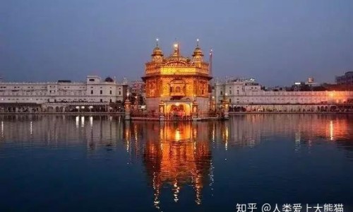 土洋参的正确吃法-土洋参的功能及作用是什么、土洋参实物图解 -土洋参的功能及作用网
