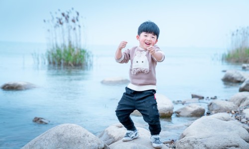 土洋参别名叫什么名字-土洋参的功能及作用是什么、土洋参实物图解 -土洋参的功能及作用网